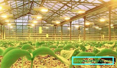 90-LED plante lys