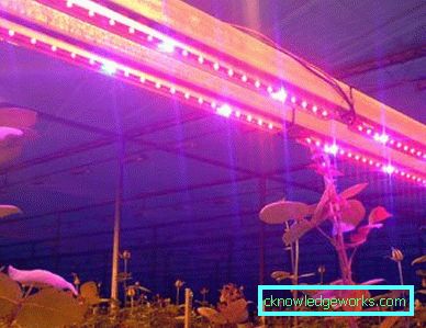 90-LED plante lys