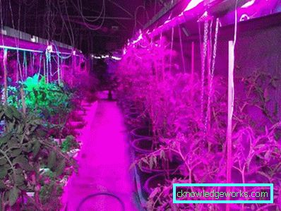 90-LED plante lys