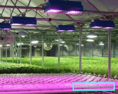 90-LED plante lys