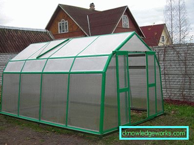Glasshus Drivhus: Funksjoner og fordeler med strukturer Glasshus Drivhus: Funksjoner og fordeler med strukturer