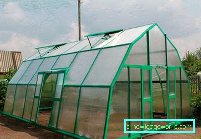 Glasshus Drivhus: Funksjoner og fordeler med strukturer Glasshus Drivhus: Funksjoner og fordeler med strukturer